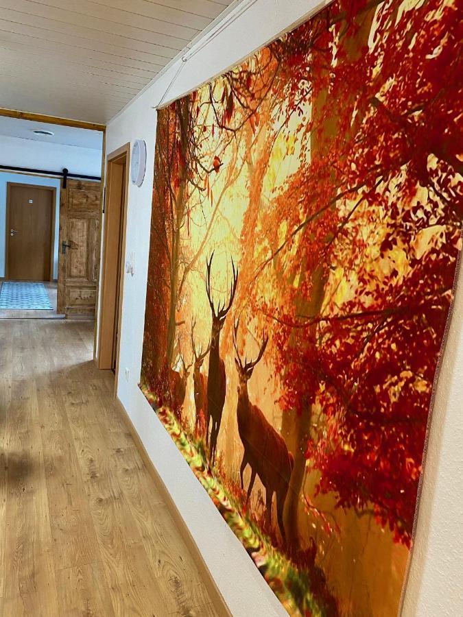 Hexenblick Appartamento Bad Lauterberg Esterno foto